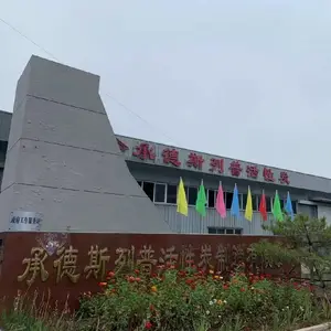 Chengdesilepu Activated Carbon Manufacturing Co., Ltd. company overview - view 1 thumbnail