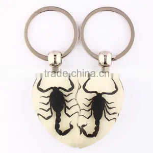 2016 New Keychain With Real Insect thumbnail-2