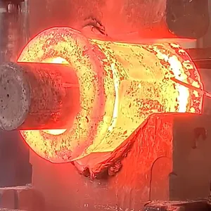Flange Cylinder Open-Die Forgings thumbnail-3