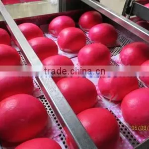 TY-810 Meat Pie Making Machine thumbnail-4
