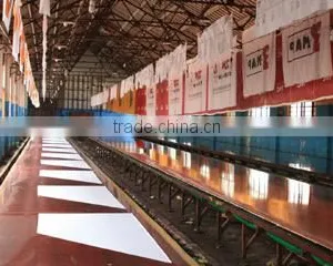 Shanghai Richer Flag Co., Ltd. company overview - view 3 thumbnail