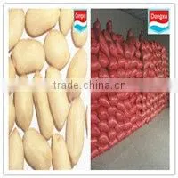 Blanched Peanut Kernels 24/28 28/32 34/38 38/42 thumbnail-1