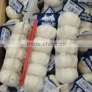 Spices thumbnail-1