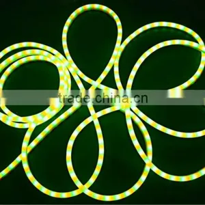 12V Outdoor Decoration Light Colorfull SMD2835 Led Flex Tube Light thumbnail-1