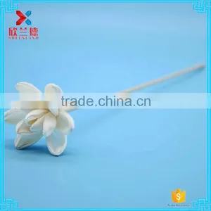 2015 New Design Sola Flower Reed Diffuser/reed Diffuser Flower/sola Wood Flower thumbnail-4