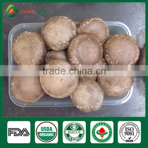 Shiitake Mushroom ,Shiitake Mycelium,Wild Mushroom thumbnail-2