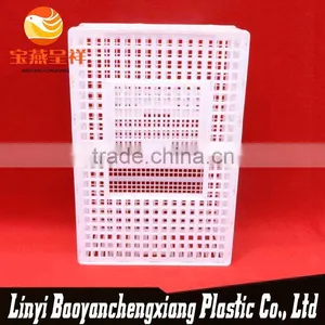 New Polyethylene China White Chicken Transport Crate thumbnail-3
