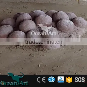 OAV2412 Real Size Dinosaur Fossil Egg for Sale thumbnail-1