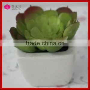 High Quality Tropical Plant Wholesale Artificial Mini Succulents thumbnail-1