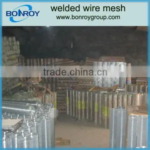 3/4" Galvanized Welded Wire Mesh thumbnail-1