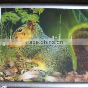Aluminum Snap Open Frame (PF-A-0001) thumbnail-1