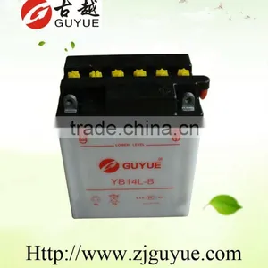 Everstart 12v Lead Acid Battery/the Storage Battery thumbnail-1