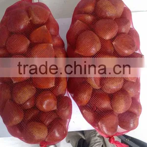 Health Food 40-50, 50LB Gunny Bag Chinese Fresh Chestnuts Wholesale Chestnuts for Spain thumbnail-6