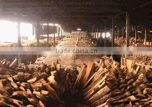 Hoang Pottery Company Limited company overview - view 2 thumbnail