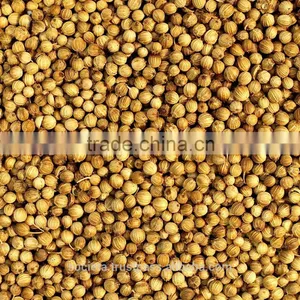 Australian Coriander Seeds thumbnail-1