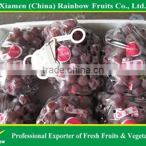 Grapes From China With Sweet Taste thumbnail-3