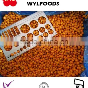 New Seasion Frozen Sea Buckthorn Fruit thumbnail-3