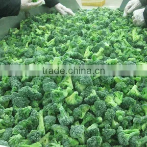 Sell Broccoli thumbnail-1