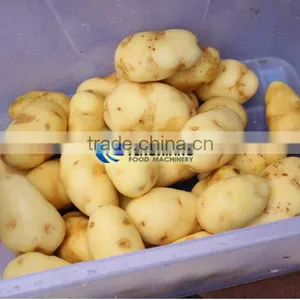 Commercial Close Type Potato Peeling Machine Lotus Root Polishing Machine With CE thumbnail-4