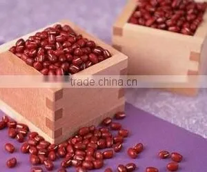 JSX Chinese Production Red Speckled Beans Cost Price Red Eye Beans thumbnail-3