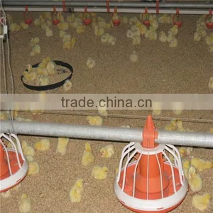 Broiler Chicken Feeding Equipment thumbnail-4