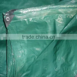 Green pe Tarpaulin for Truck(in Piece) thumbnail-2