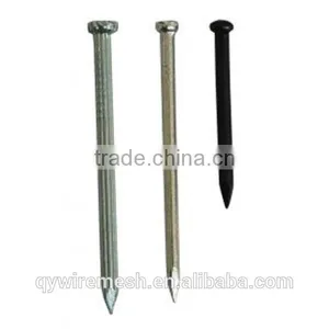 Building Common Wire Nail, Construction Common Nail Iron Nail Factory thumbnail-1