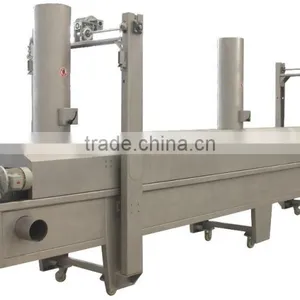 DBS Potato Chips Automatic Continuous Frying Machine thumbnail-1