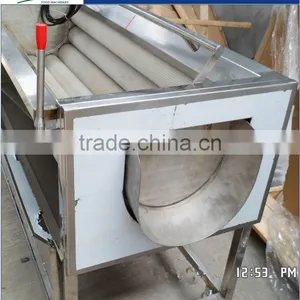 Food Machinery Vegetable Washer Carrot Washing Machine thumbnail-2