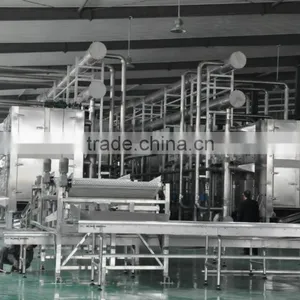 Blueberry Multiple Layer Continuous Type Mesh Belt Dryer thumbnail-3