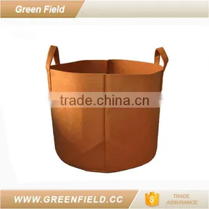 Home Decoration Plant Pot,eco Garden Plant Pot thumbnail-4