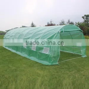 Professional Poly Tunnel Green House /agricultural Greenhouse8*3*2m thumbnail-2