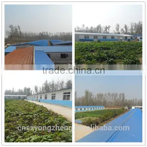 Yongzheng Dried Mealworms ;Good Quality Dried Mealworms ;Dried Mealworms for Fish Food thumbnail-6