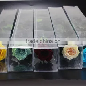 Fresh Cut Flowers Roses Long Lasting Big Rose Flower With Stem thumbnail-2