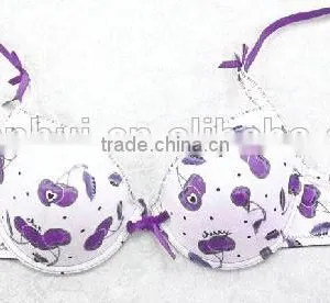 Cherry Bra/ Fashion Spandex Bra Sexy Bra Underwear Made in China thumbnail-3