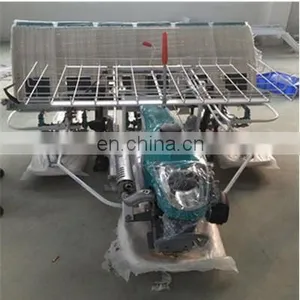 6 Rows Walking Rice Transplanter, China Brand Rice Transplanter, China Rice Transplanter thumbnail-1