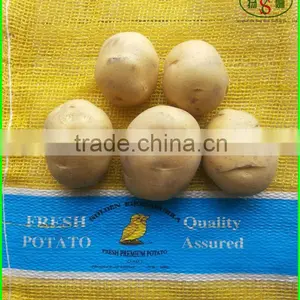 China Peel the Red Onion / Peel Onions/yellow Onion thumbnail-5