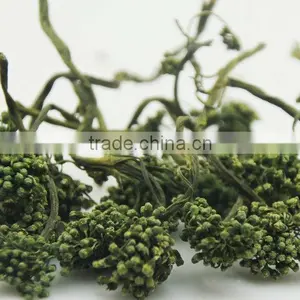 Ginseng Flower Herbal Tea thumbnail-1