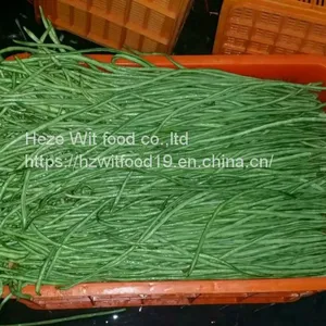 Frozen Asparagus Beans Cuts thumbnail-1