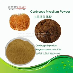 Cordyceps Mycelium Polysaccharide thumbnail-1