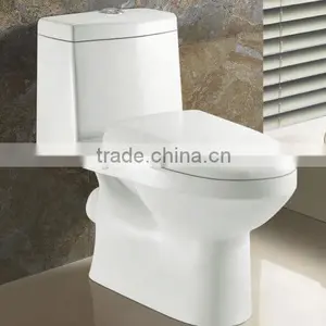 Sanitary Ware European One Piece Water Closet Toilet thumbnail-2