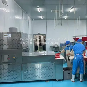 Tunnel Microwave Heating Oven for Ready Meal, Commercial Fast Food Heating Machine thumbnail-2