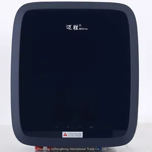 8l 10l 12l 16l Boiler Wall Mounted Calentador de Agua a Gas Mini Gas Water Heater Digital Constant Gaz Gas Water Heater thumbnail-1