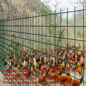PVC-Welded Wire Mesh/flower and Wood Fences/ vinyl Coat Wire Mesh/ plastic Wire Mesh thumbnail-4