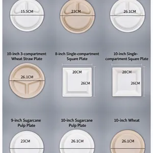 Sugarcane Bagasse Compartment Plate Wholesale, OEM Custom Service, Molded Fiber Divided Plate With After-Sales Support thumbnail-4