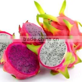 Viet Nam Tropical Tea Joint Stock Company company overview - view 1 thumbnail