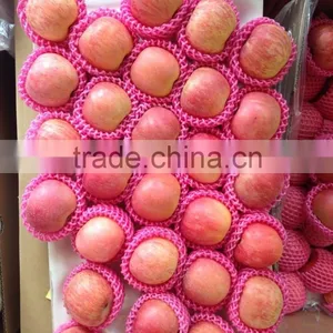 Fresh Style and Apple Type Bulk Fresh Apples thumbnail-1
