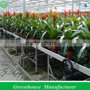 Flower Greenhouse for Sale thumbnail-1