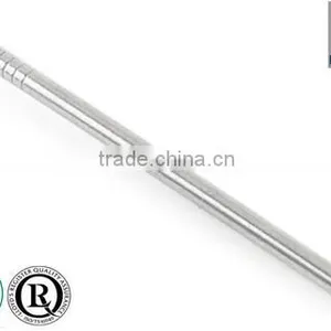 Common Nail thumbnail-1