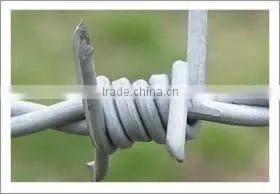 Double Twist Barbed Wire thumbnail-1